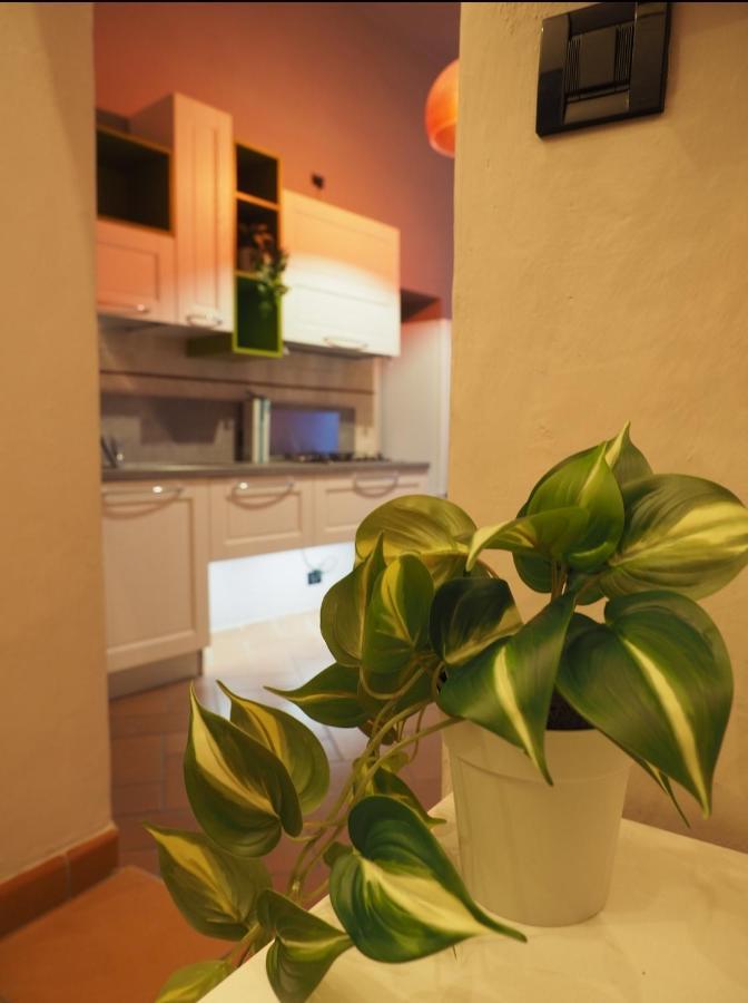 Il Nido Dell'Aquila By Francigenaapartments Siena Exteriör bild